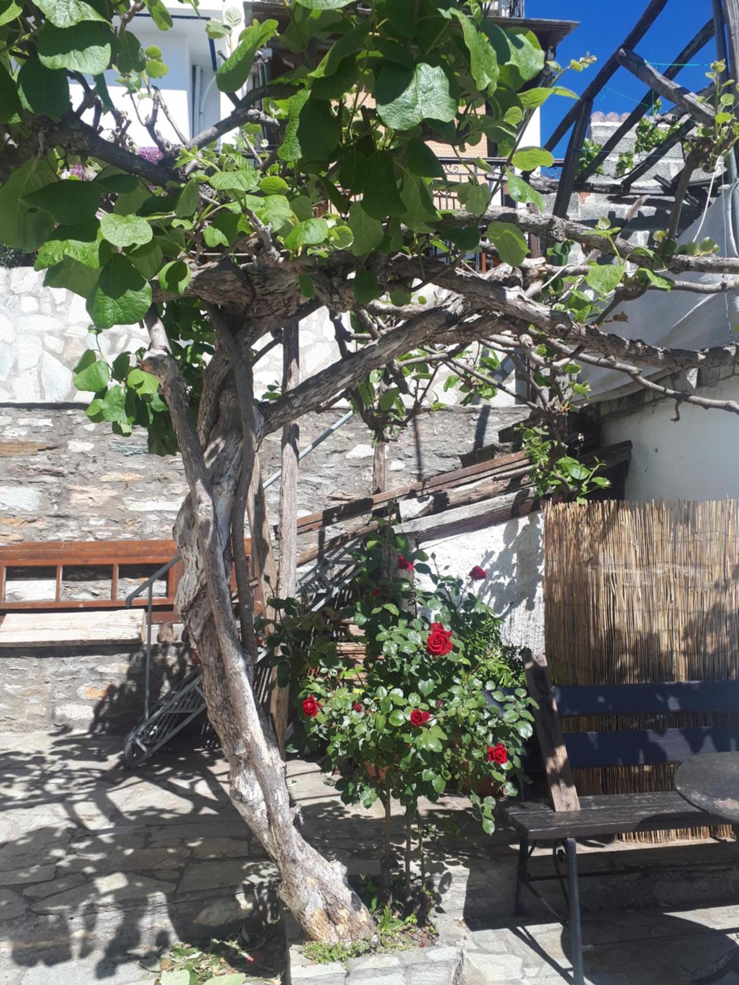 Αrchontiko Tis Marios Hotel Portaria  Exterior photo