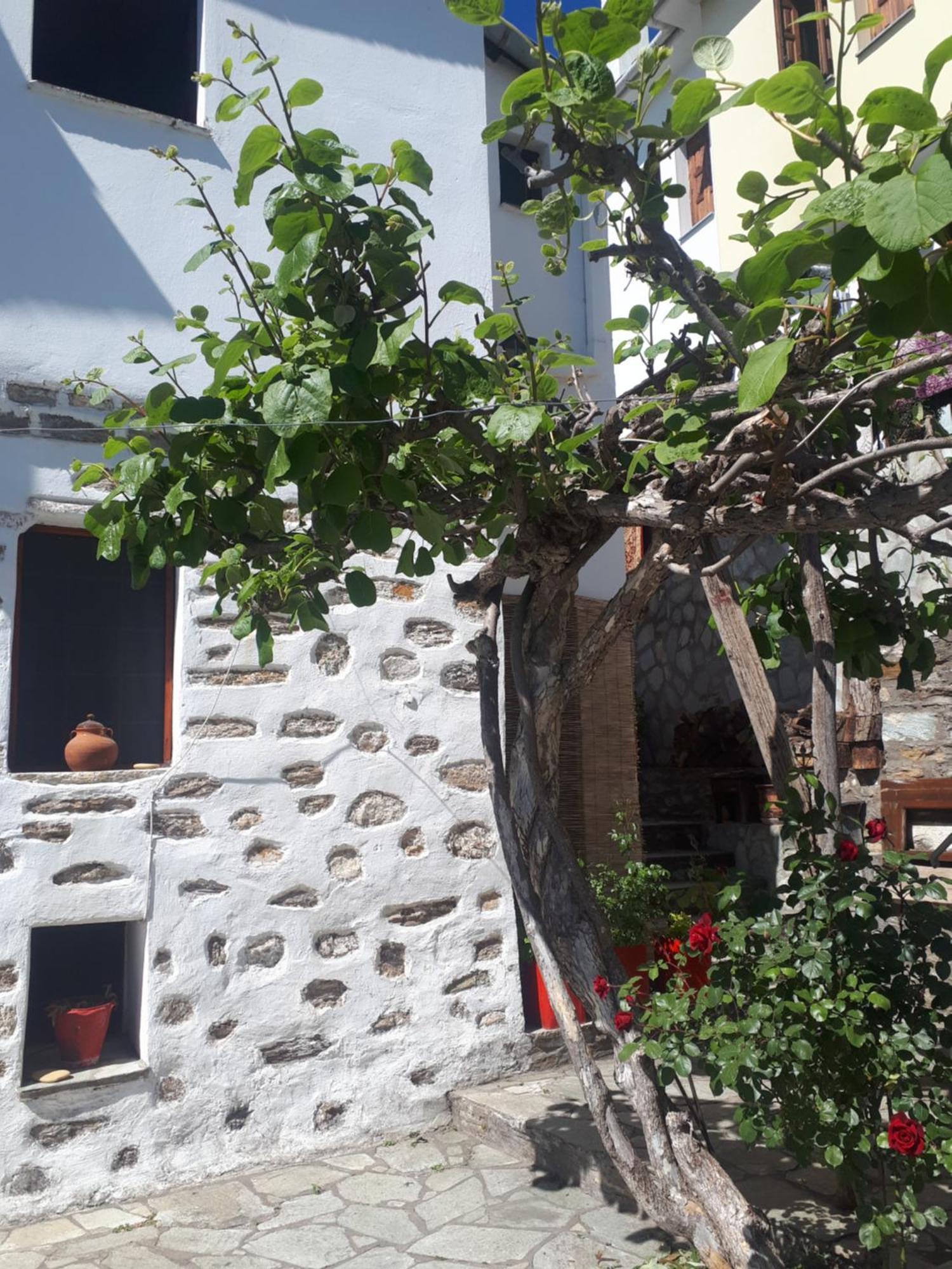 Αrchontiko Tis Marios Hotel Portaria  Exterior photo