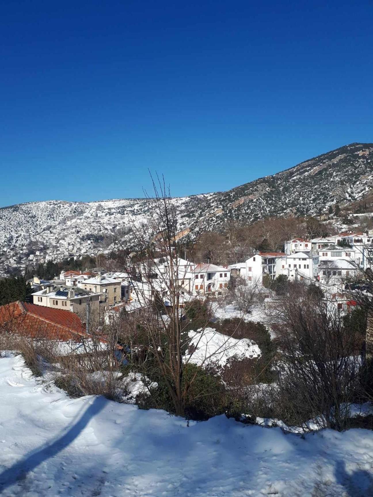 Αrchontiko Tis Marios Hotel Portaria  Exterior photo